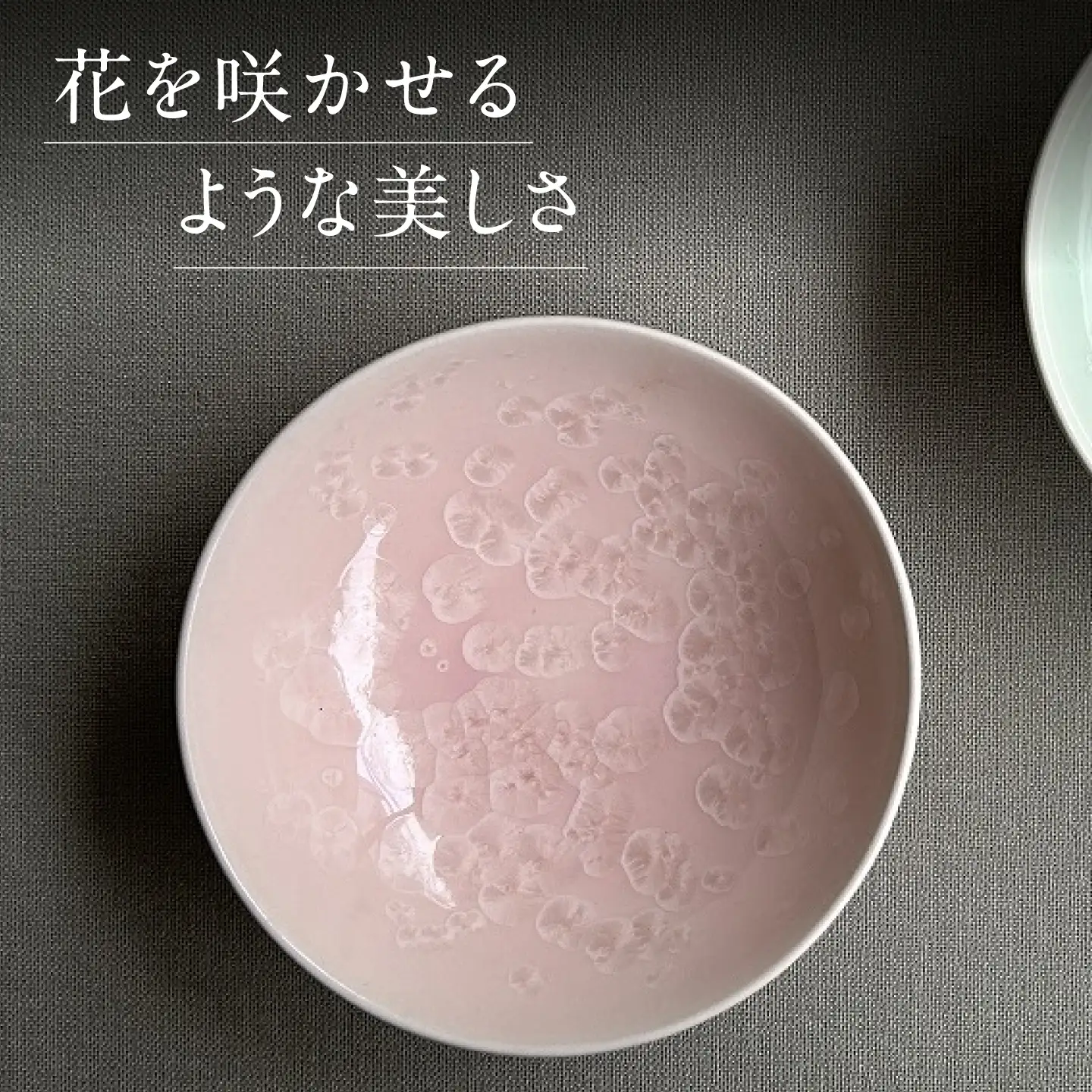 【美濃焼】 花を咲かせるような美しさ 平盃 さくら・緑雪華 2点セット 多治見市 / カネヨ / 壽泉窯[TBO012]