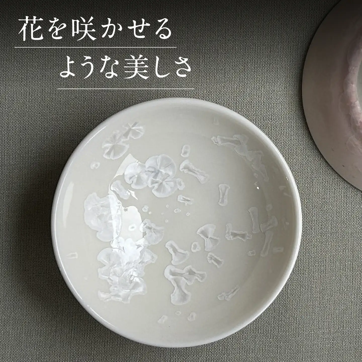 【美濃焼】 花を咲かせるような美しさ 平盃 輝華結晶・さくら 2点セット 多治見市 / カネヨ / 壽泉窯[TBO015]