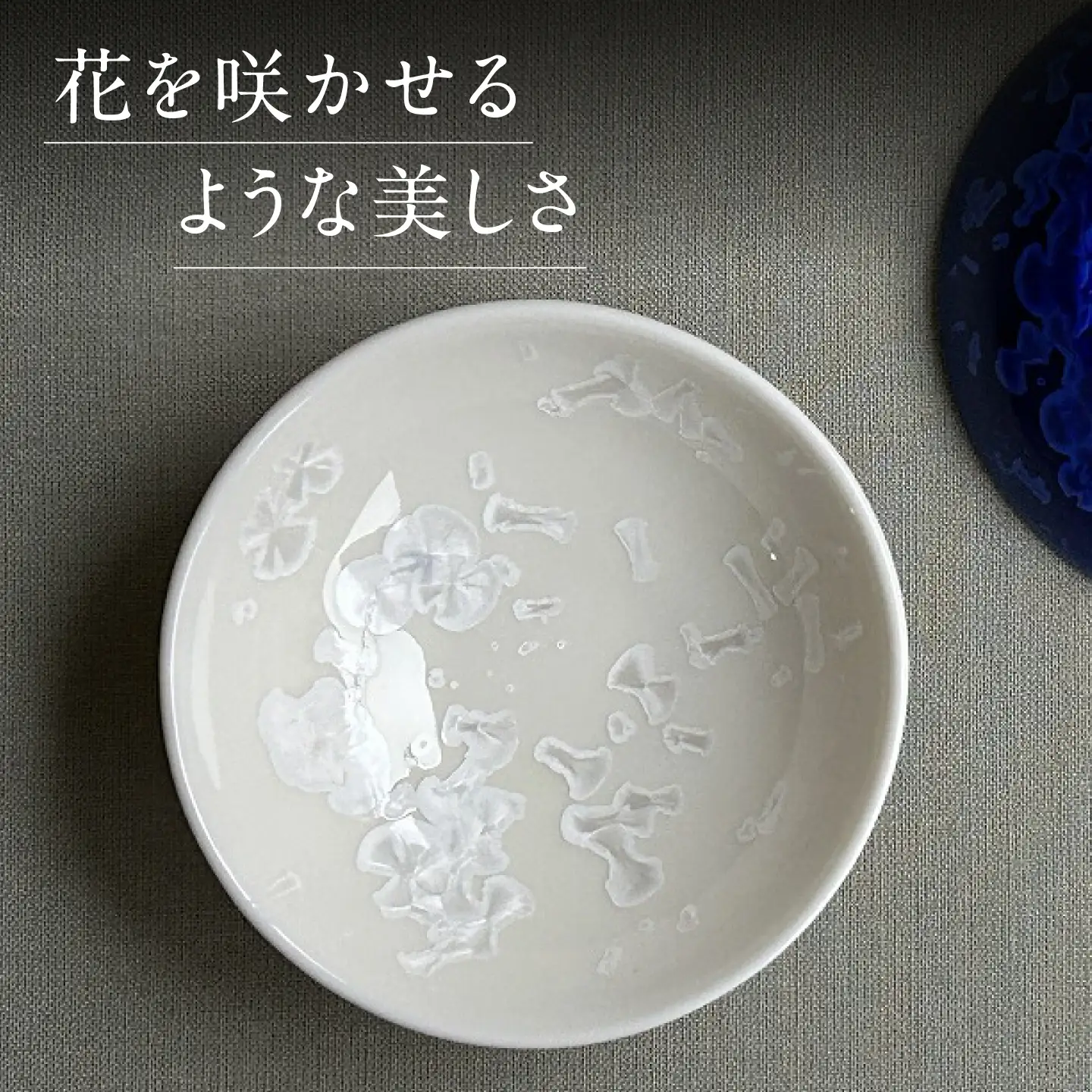 【美濃焼】 花を咲かせるような美しさ 平盃 輝華結晶・ルリ結晶 2点セット 多治見市 / カネヨ / 壽泉窯[TBO016]