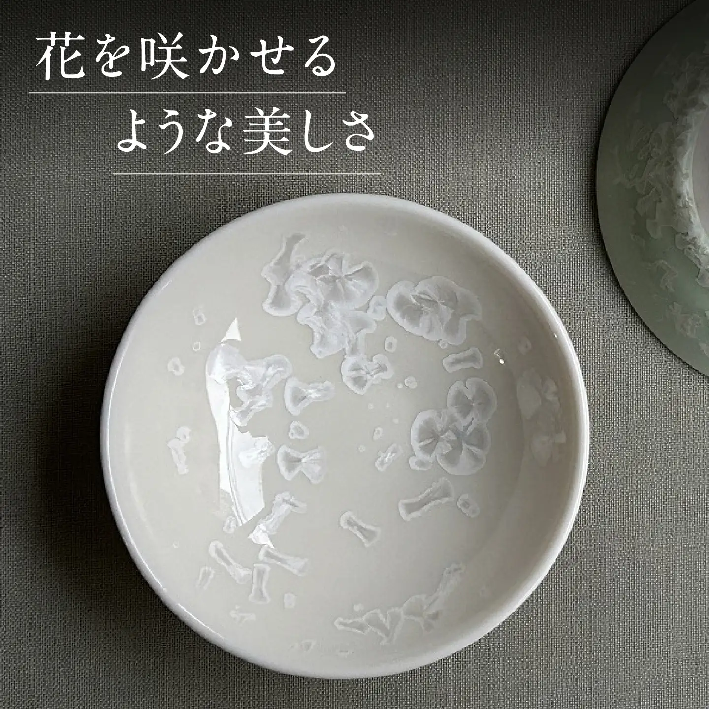 【美濃焼】 花を咲かせるような美しさ 平盃 輝華結晶・緑雪華 2点セット 多治見市 / カネヨ / 壽泉窯[TBO017]