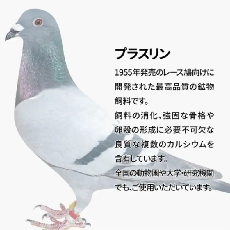レース鳩用飼料 プラスリン 鉱物飼料 カルシウム レース鳩用飼料