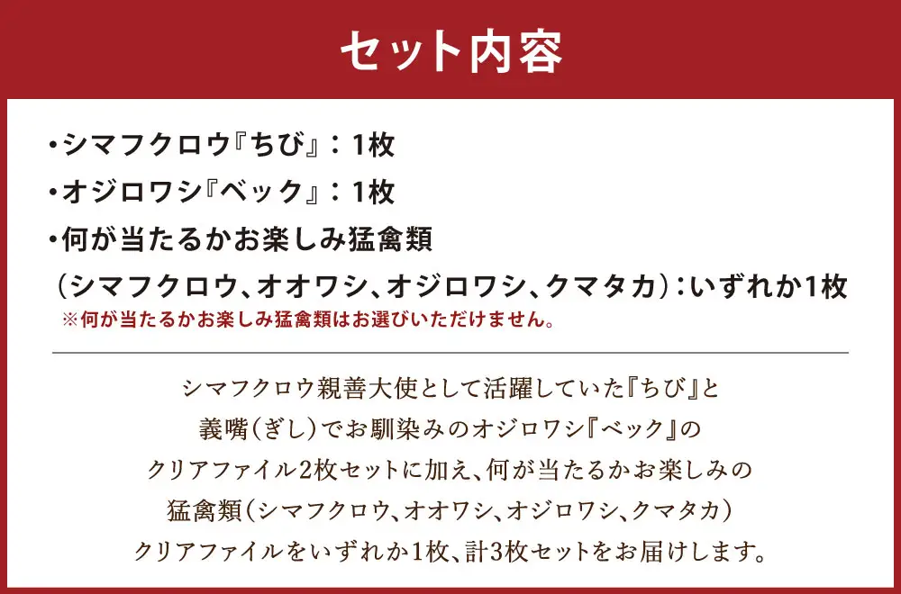 【 7日程度で発送 】 猛禽類医学研究所オリジナルクリアファイル 3種セット クリアファイル ファイル 文房具 猛禽類 野生動物 動物 野生 シマフクロウ オジロワシ フクロウ ワシ 雑貨