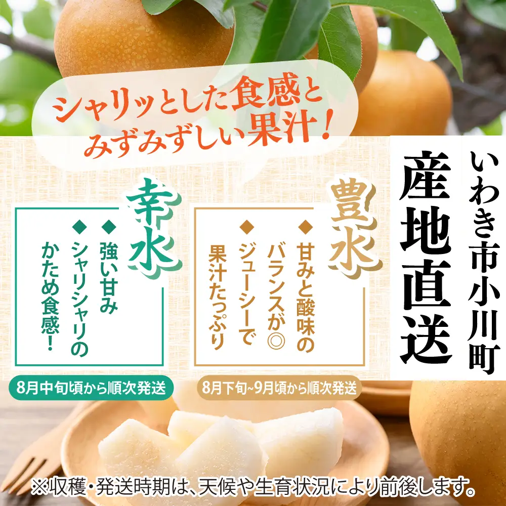 【先行予約】 梨 豊水 約5kg 梨 豊水 岡田梨園