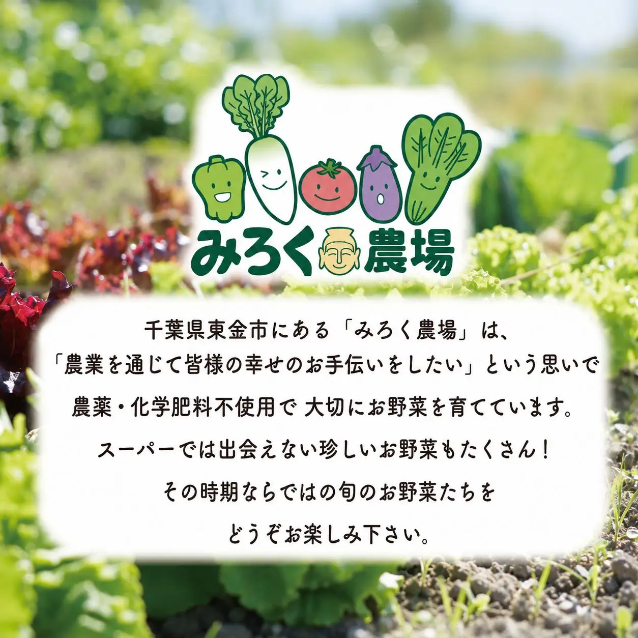 にんじん 約4kg 野菜 国産 先行予約