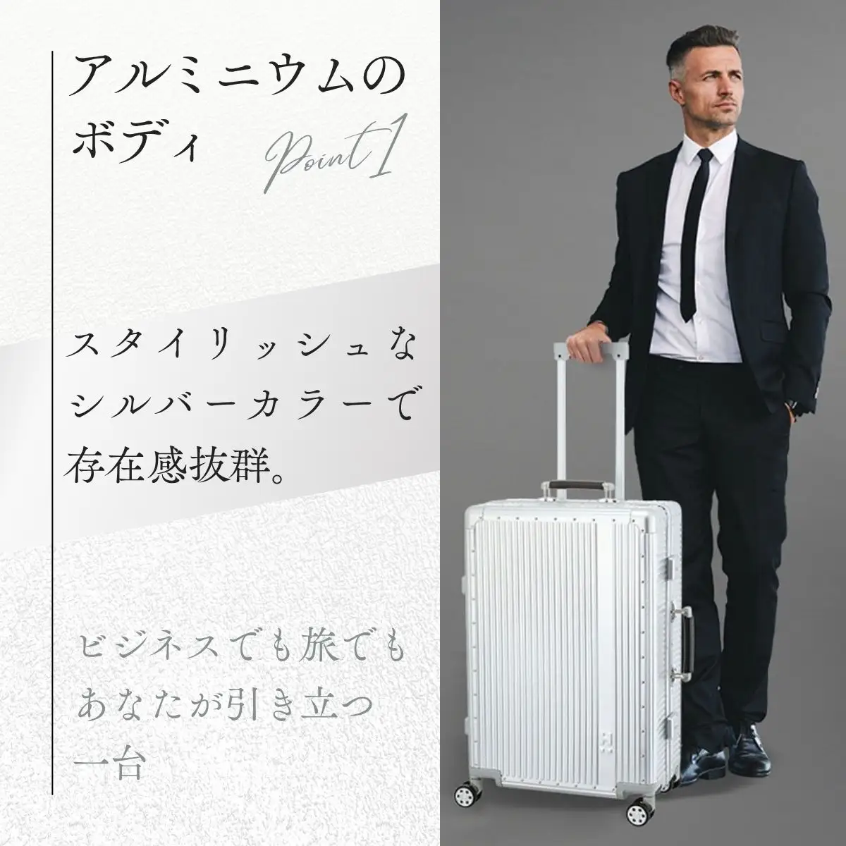 キャリーケース ハピタスプラス シルバー Mサイズ HPL1158-M | キャリーケース