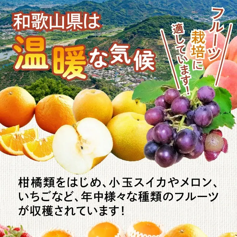 定期便 フルーツセット 年2回(夏・冬)【8060】