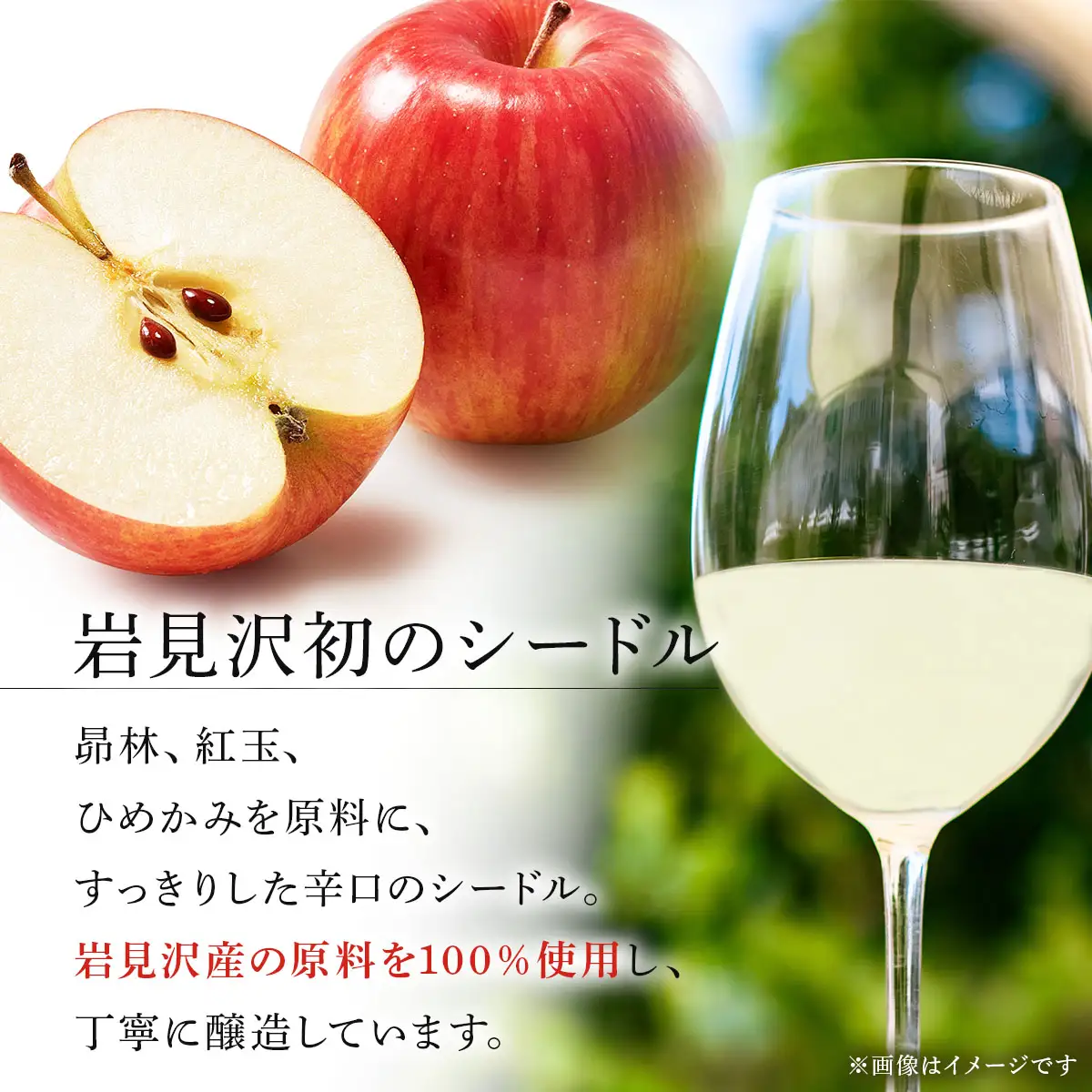 【数量限定】oi cidre（オイシードル）APPLE CIDRE 2本入り