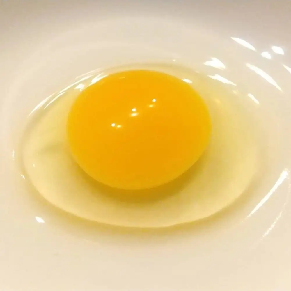 国産飼料の放牧有精卵「君は太陽」静岡発・サステナブルな循環型たまご