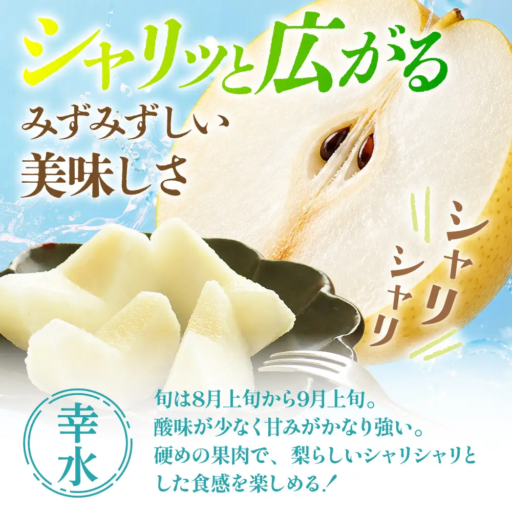 【先行予約】 梨 幸水 約5kg 梨 幸水 長谷川梨園