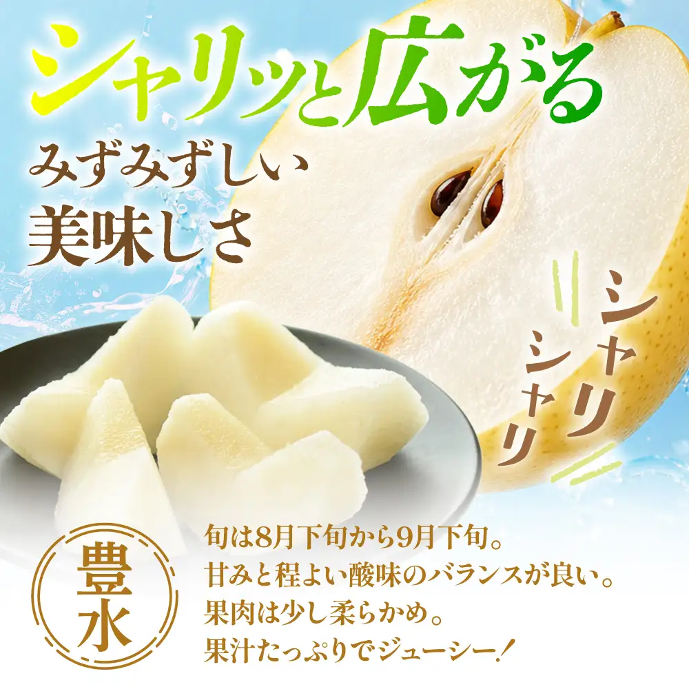 【先行予約】 梨 豊水 約5kg 梨 豊水 長谷川梨園