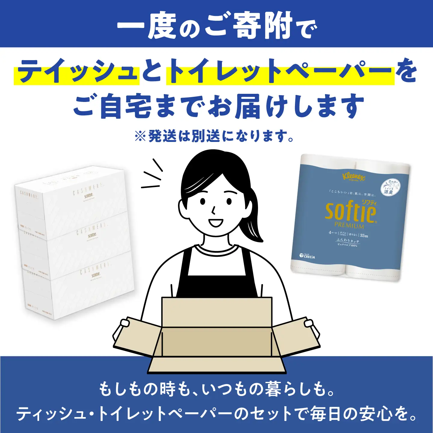 クレシアギフト カシミヤ スコッティ 10箱 ＆ クリネックス ソフティ（ダブル）40ロール セット[BDAM070]