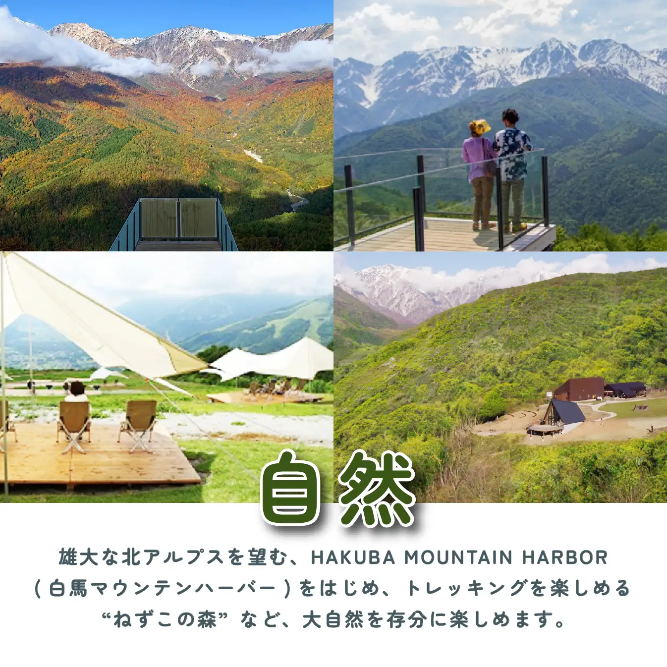 【大人２名】岩岳マウンテンリゾート入場券 大人2名様分＋金券10000円分 / 長野県白馬村