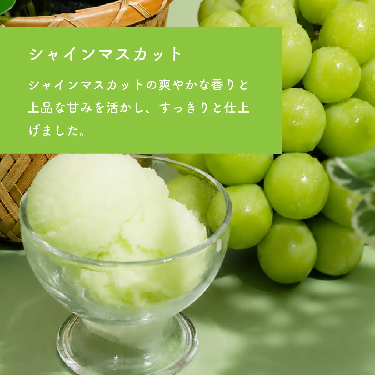 ジェラート 1L×2個 アイス バニラ × シャインマスカット ジェラート
