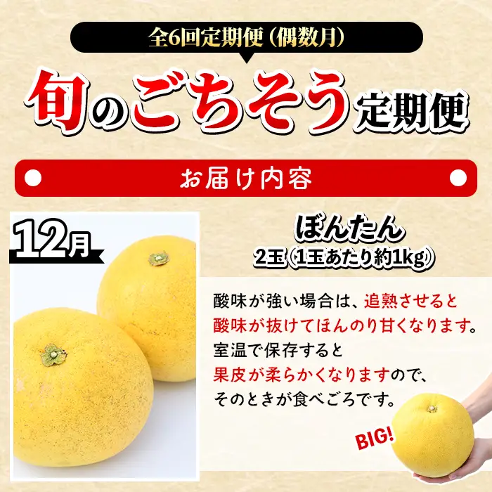 ＜定期便・全6回(偶数月)＞阿久根旬のごちそう定期便(ぼんたん・露地不知火・そら豆・南国グリーンメロン・大玉スイカ・伊勢海老) 国産 フルーツ 果物 柑橘 野菜 豆類 魚介 ボンタン 文旦 そらまめ すいか えび エビ 季節 訳あり 【松永青果】akn053-50