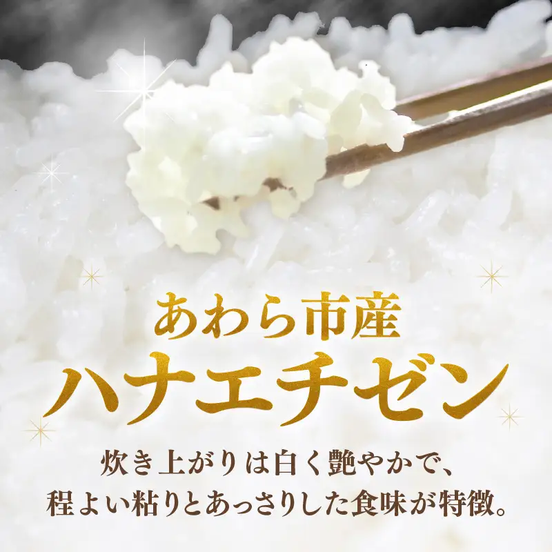【先行予約】【令和8年産 一等米】ハナエチゼン 精米 5kg （長谷川農園） 単一原料米  ※2026年10月より順次発送予定 [aw139-a003]