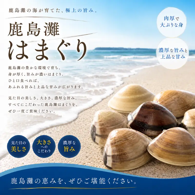 【 はまぐり 】 約2.4kg 10～20個 大粒 はまぐり