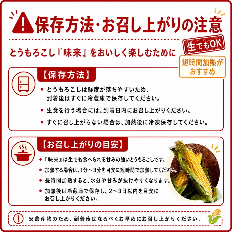 とうもろこし味来 10本入り 訳あり品 生で食べられる トウモロコシ とうきび コーン 新鮮野菜 減農薬栽培 北海道 江別市 EB8-0784
