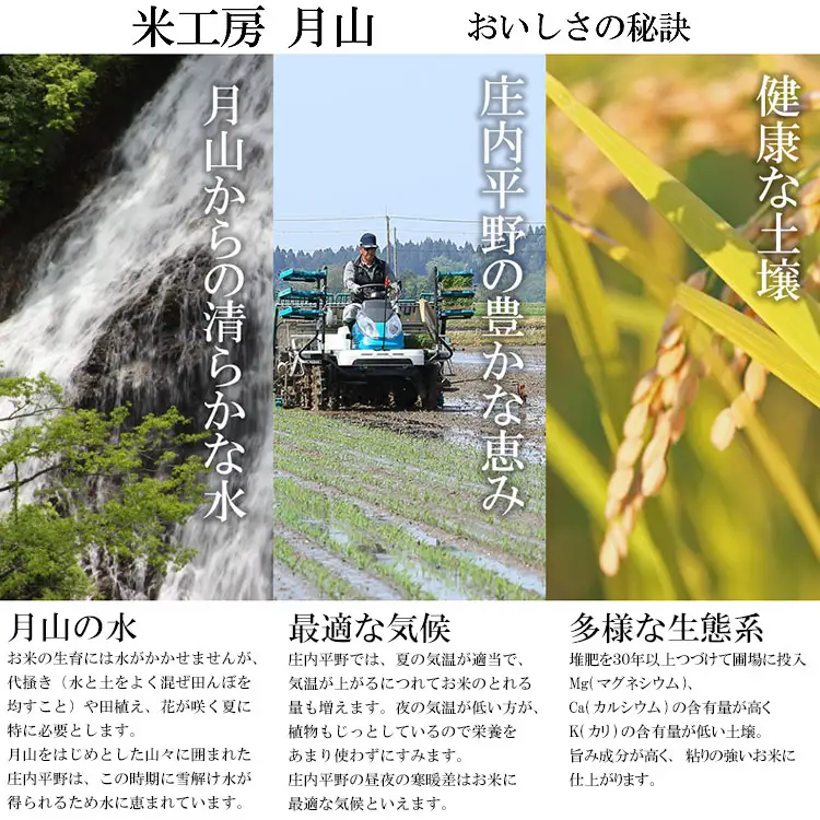 特別栽培米 雪若丸 乾式無洗米 10kg（5kg×2袋） 山形県鶴岡市産　米工房 月山【令和8年産早期予約特別企画】
