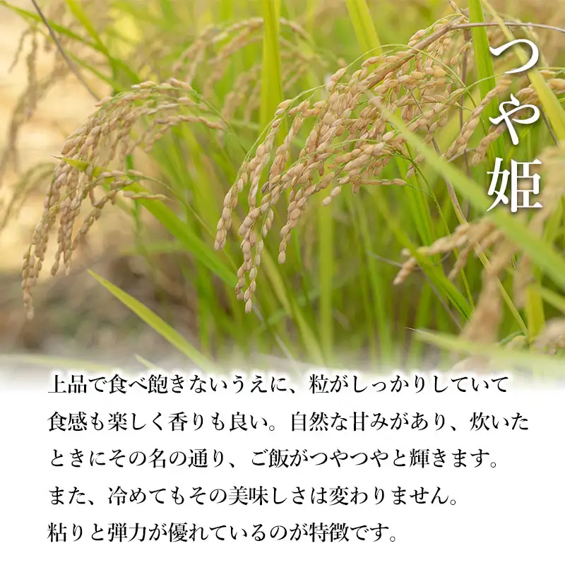 特別栽培米 つや姫 無洗米 5kg 【令和8年産新米早期予約特別企画】