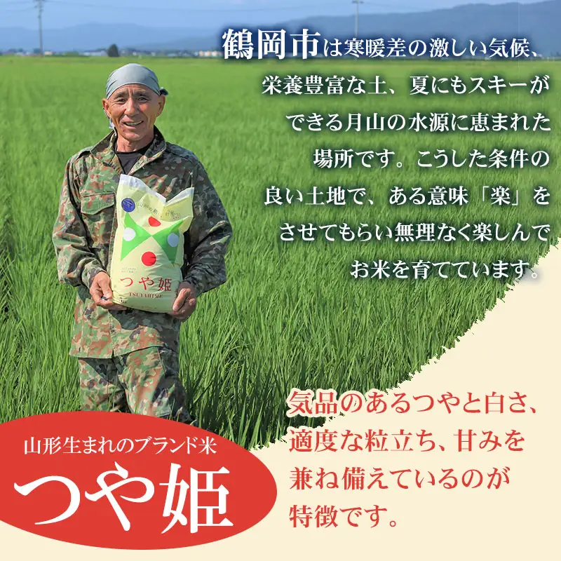特別栽培米 つや姫 無洗米 10kg 【令和8年産新米早期予約特別企画】