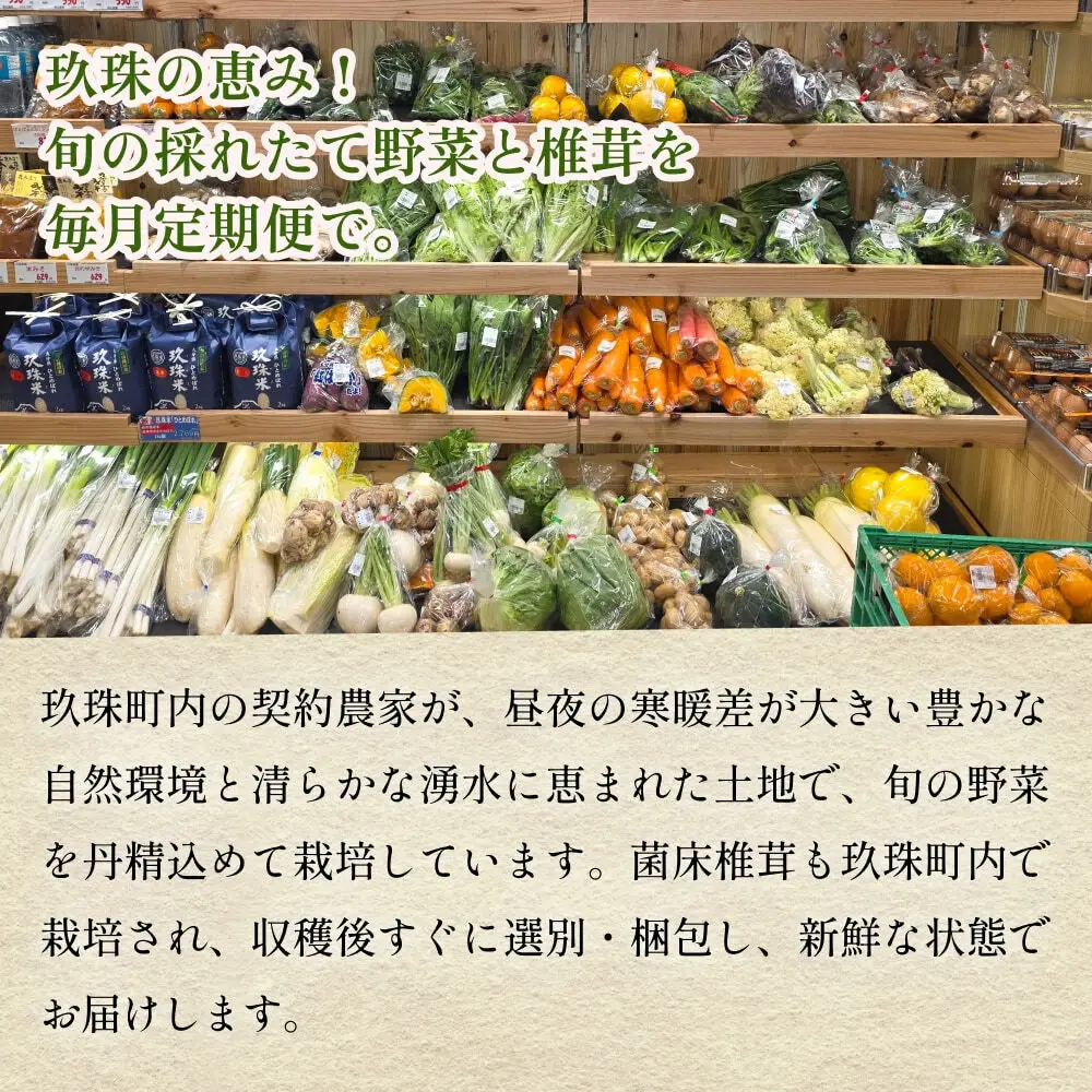 【ふるさと納税】3回定期便　玖珠の 旬野菜 ・ きのこ 6-10品 詰め合わせ  ｜ 大分県玖珠町 野菜 きのこ 旬 定期便 冷蔵 産地直送 新鮮 お取り寄せ