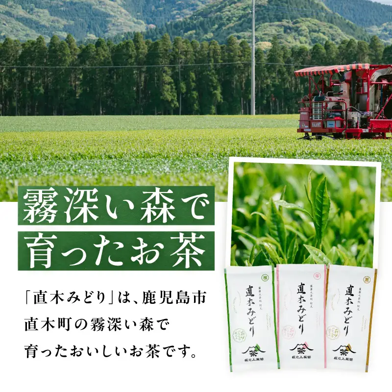 直木みどり（麗） K388-003 お茶 茶 茶葉 ティー 飲料
