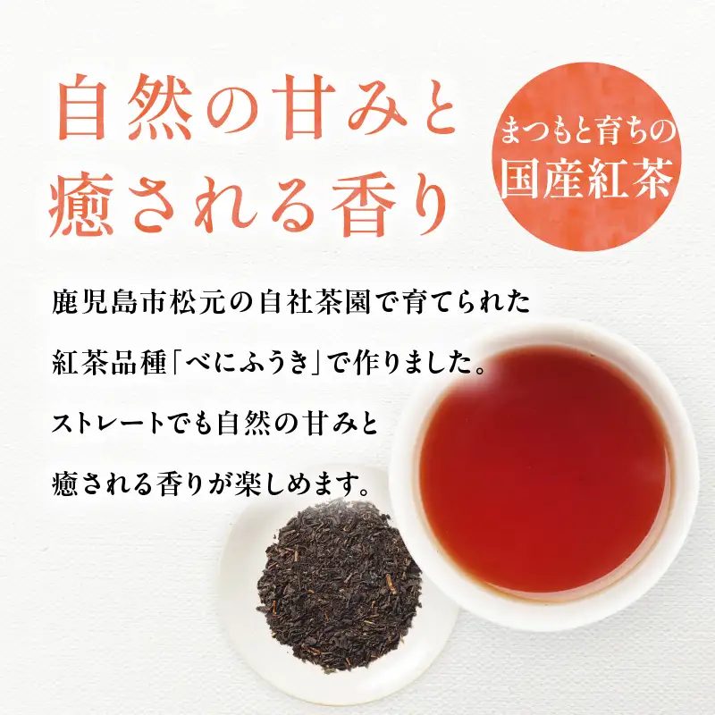 まつもと紅茶 K388-005 紅茶 レモンティー ミルクティー お茶