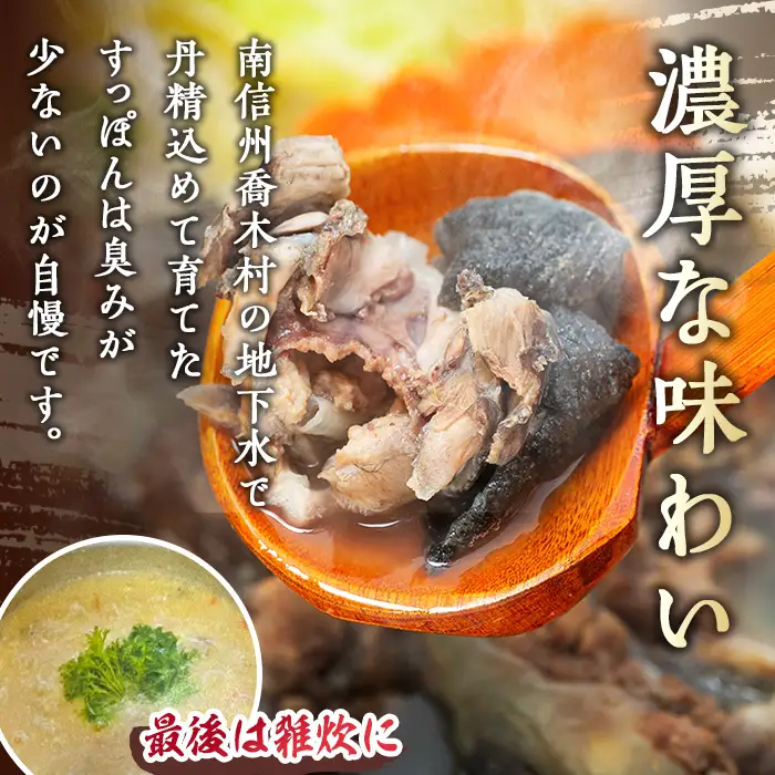 B11 喬木村産 すっぽん 鍋の素