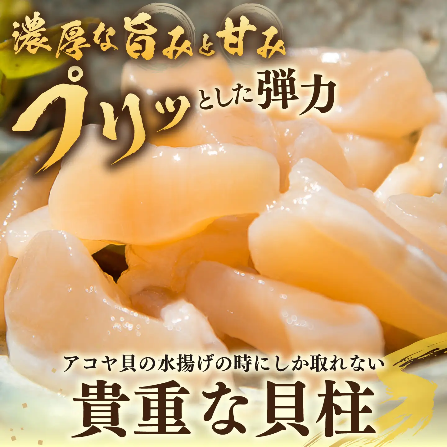 アコヤ貝 貝柱 750g JCJ025