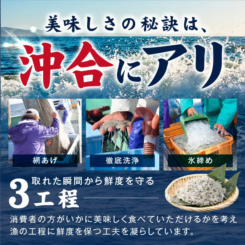 【期間限定】減塩 釜揚げしらす 1kg