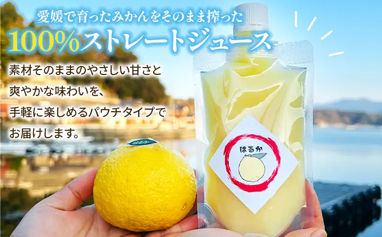 【感謝企画】＜100％ストレートジュース パウチタイプ 160ml×20個（2種類×10）＋パウチゼリー165g×2個＞『1か月以内に順次発送予定』種類はおまかせ 飲み比べ 果物 くだもの フルーツ 柑橘類 みかん 蜜柑 ミカン みかんジュース 飲料 渡江から一歩を踏み出す会 愛媛県 西予市【常温】ATI0066