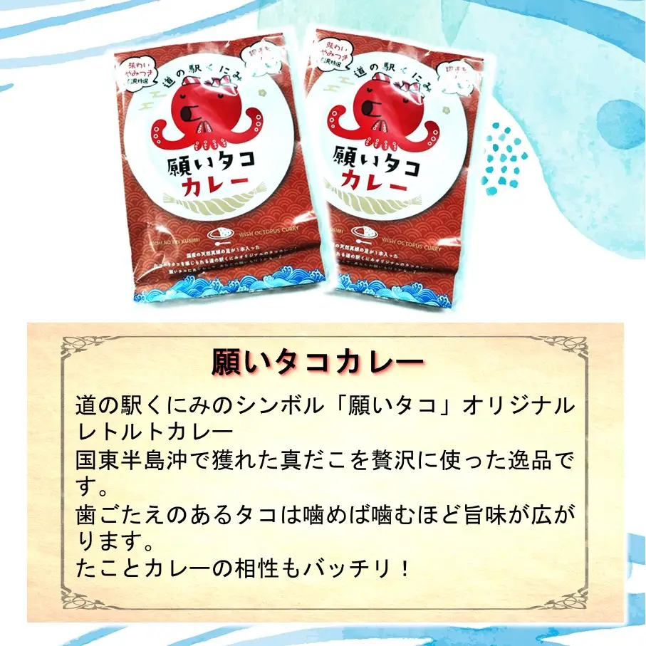 道の駅くにみの願いタコカレー2袋 レトルト 時短 簡単調理 海鮮 真蛸_2802R-1