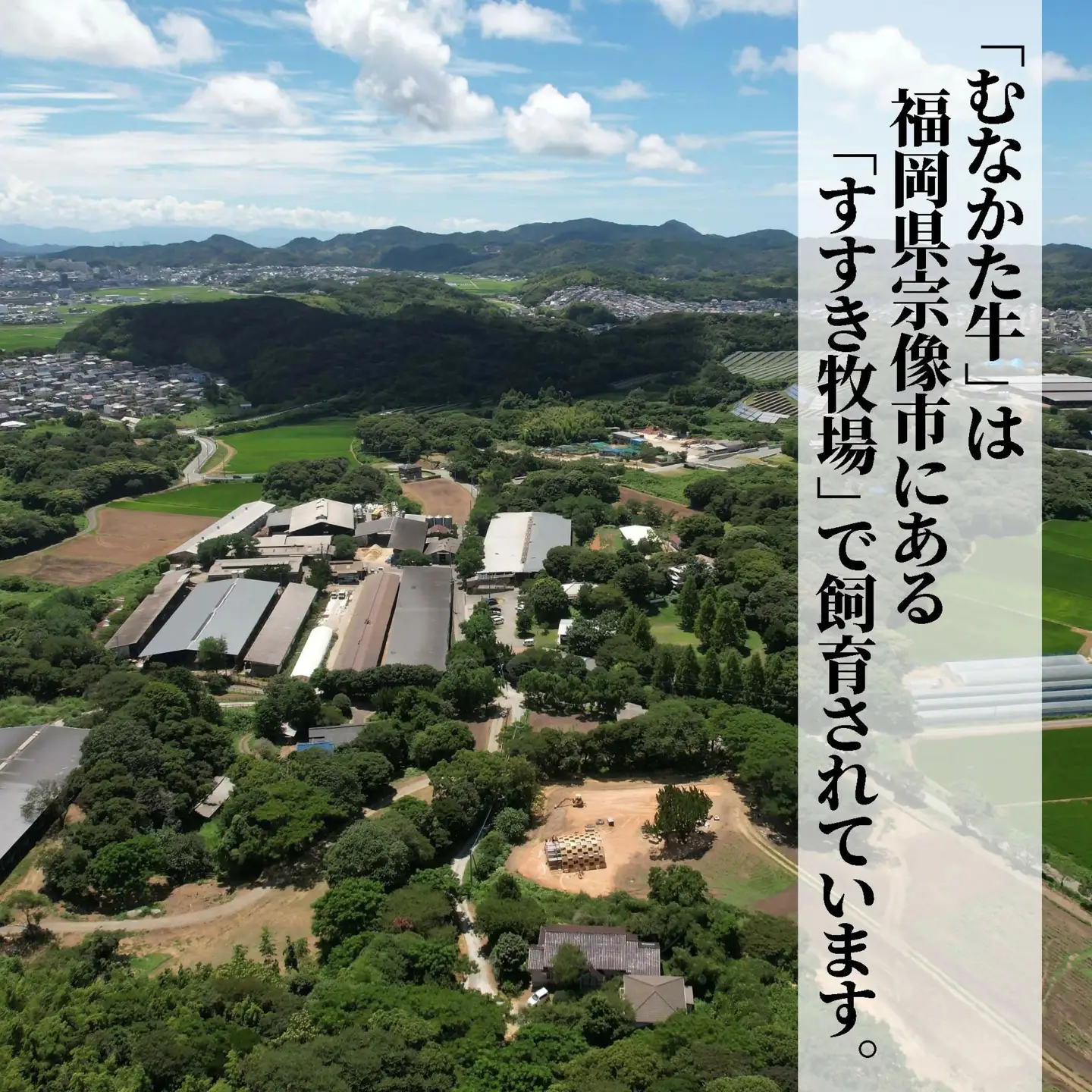 むなかた牛モモスライス500g【道の駅むなかた】_HA2093 むなかた牛 モモ もも スライス 福岡県宗像市 宗像市 福岡 宗像