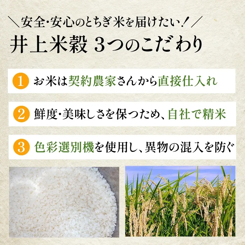 米 ミルキークイーン 5kg 栃木県産【栃木県共通返礼品】