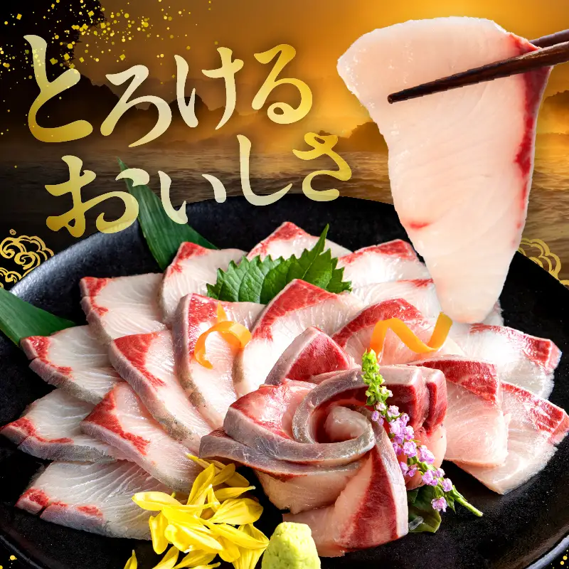 ＜2026年9月発送＞高評価！活じめ！黒瀬ぶりの生鮮ブリフィレー （1.5kg前後）_K001-004-2609