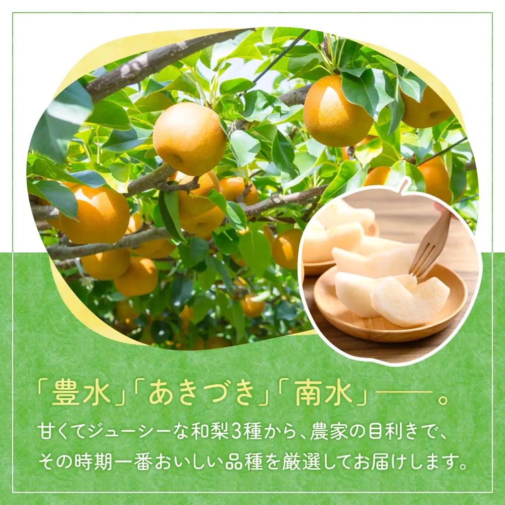 【期間限定】《2026年8月31日まで》たてべ梨 たてべ大凧果樹生産組合 滋賀県 東近江市 A-D28 梨 フルーツ 果物 和梨 完熟 豊水 南水 あきづき 5kg 旬