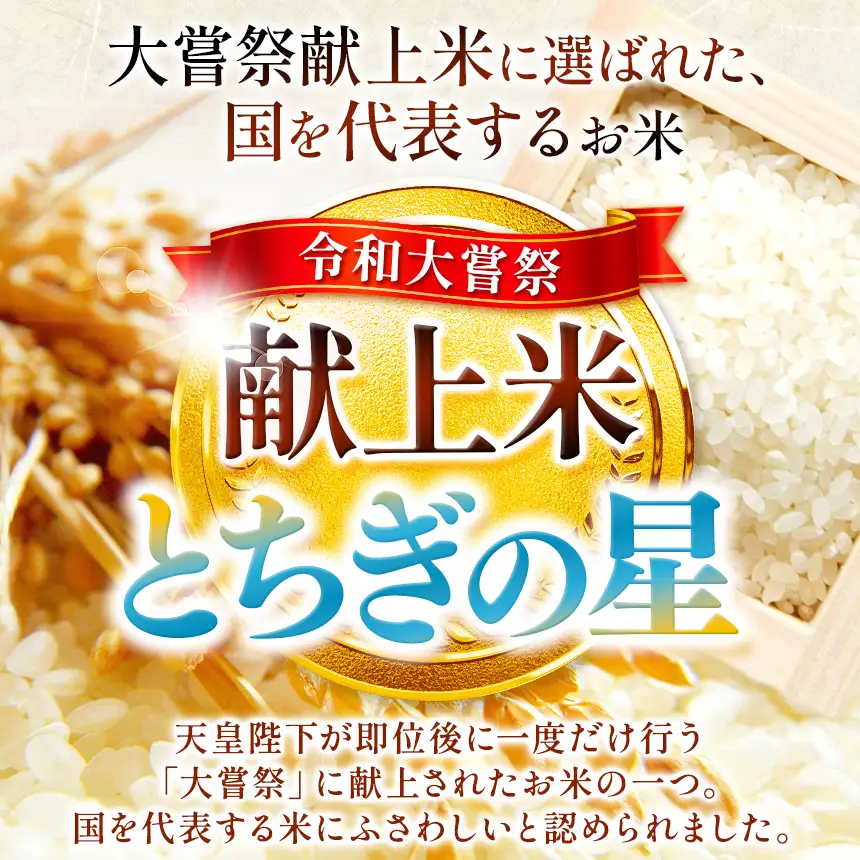 【令和8年産 先行予約】真岡市産 とちぎの星 玄米 30kg 