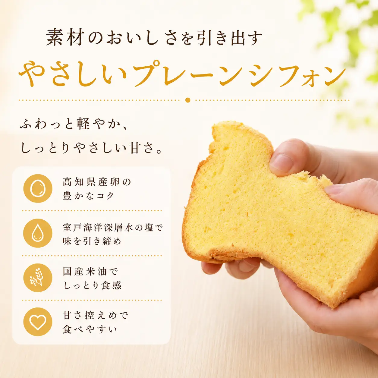 シフォンケーキ プレーン 8個 シフォン