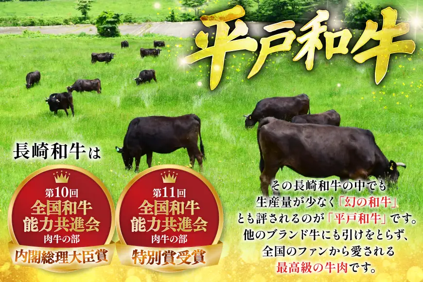 牛肉 平戸和牛 焼肉 赤身 約250g