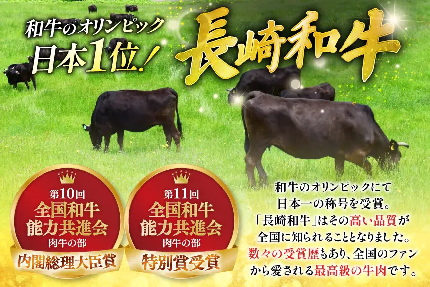 牛肉 長崎和牛 焼肉 赤身 約250g 2パック 計 約500g