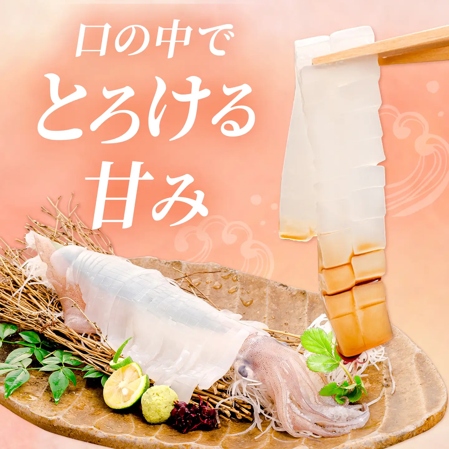 呼子剣先いか 姿造りLサイズ 2パック / イカ 烏賊 新鮮 刺身 / 佐賀県 / 佐賀玄海漁業協同組合（呼子CASセンター）[41ABAN003]