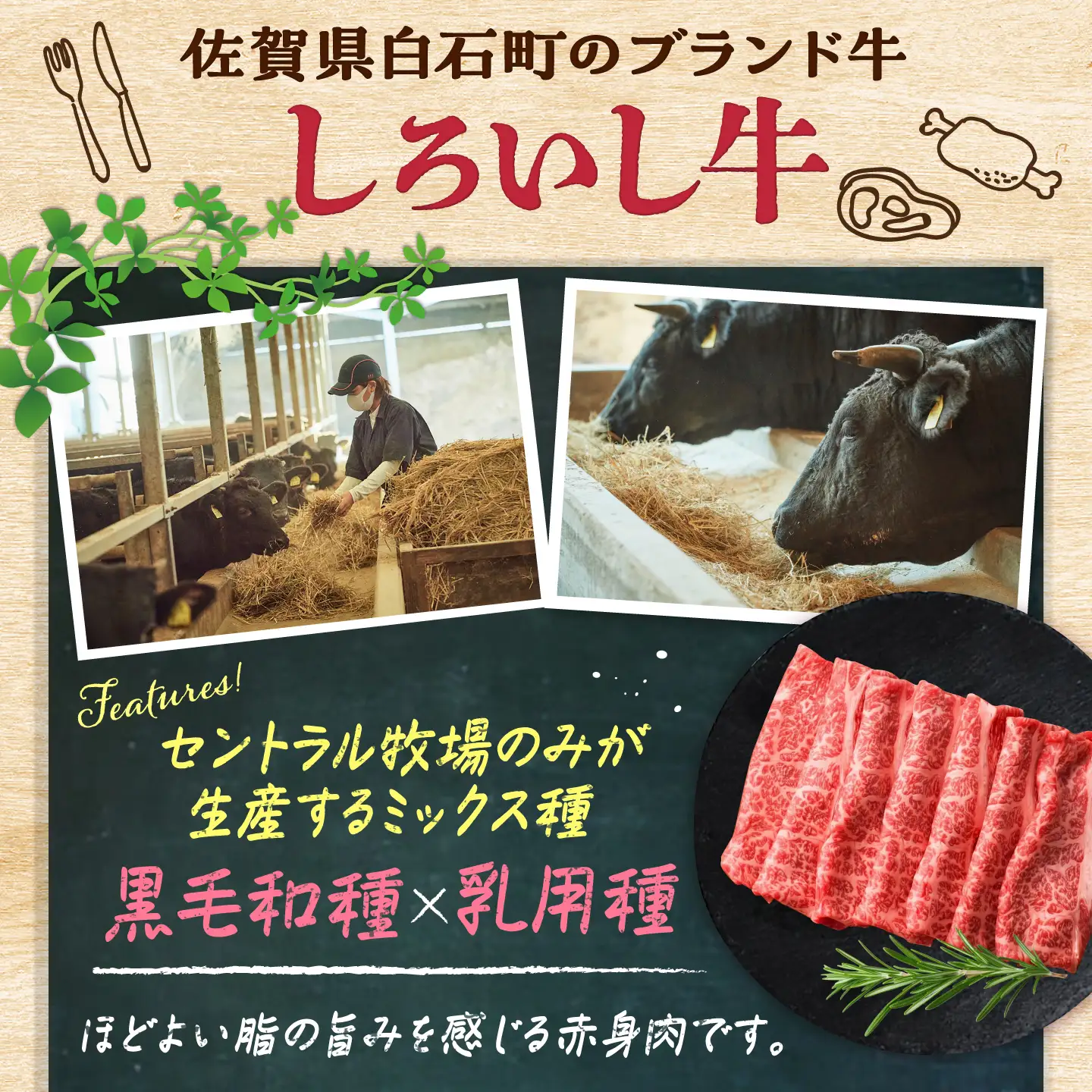 佐賀県産 しろいし牛 ロース すきしゃぶ用 600g（約3-4人前） / 牧場直送 国産 牛肉 すき焼き しゃぶしゃぶ / 佐賀県 / 有限会社佐賀セントラル牧場[41ASAA317]