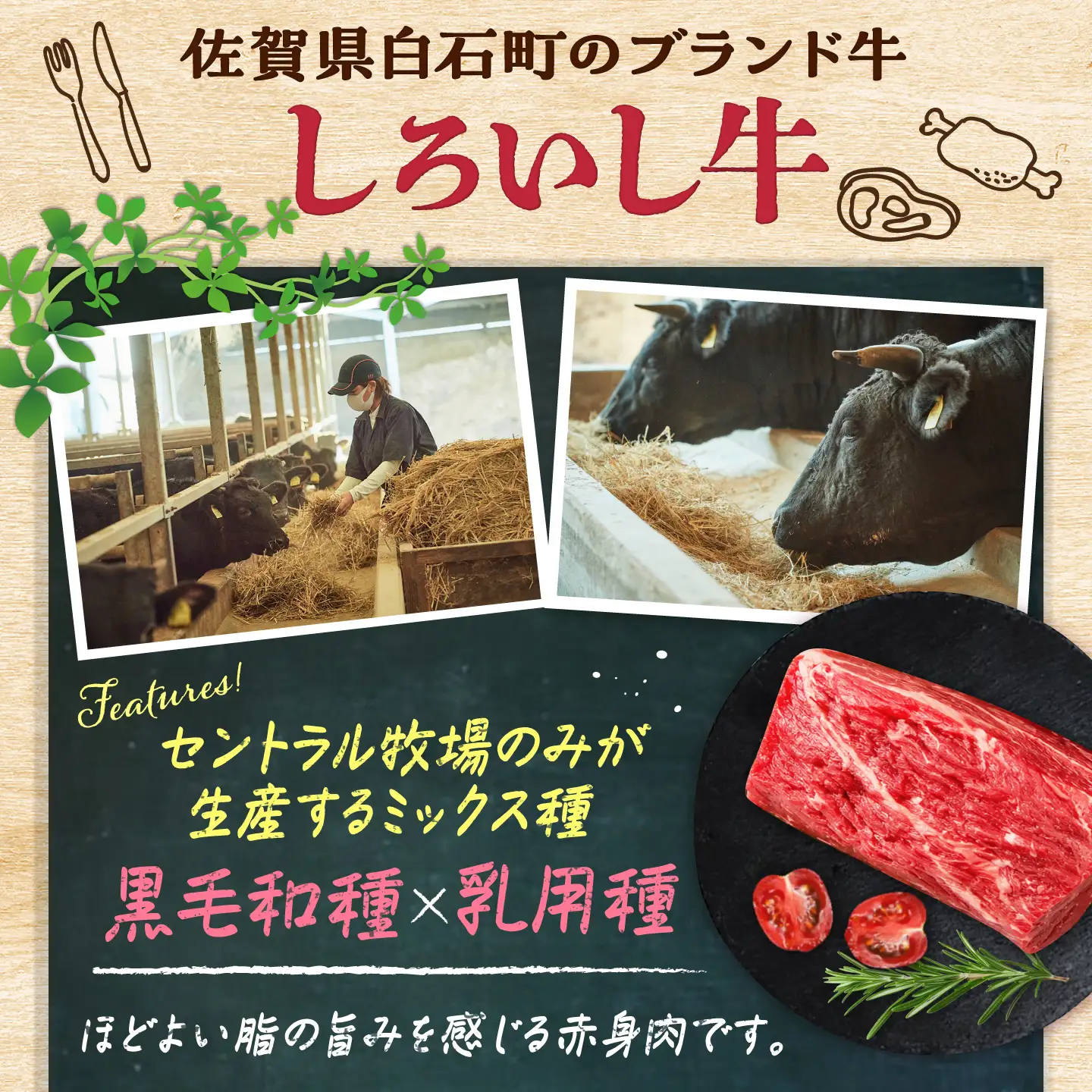 佐賀県産 しろいし牛 赤身ブロック 500g（約2-3人前） / 牧場直送 国産 牛肉 ローストビーフ ブロック / 佐賀県 / 有限会社佐賀セントラル牧場[41ASAA318]