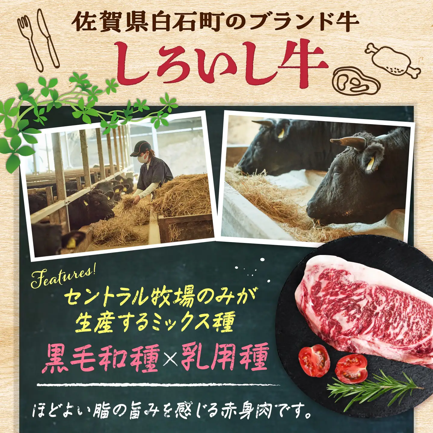 佐賀県産 しろいし牛 ロースブロック 1000g（約5人前） / 牧場直送 国産 牛肉 ロース ステーキ / 佐賀県 / 有限会社佐賀セントラル牧場[41ASAA319]