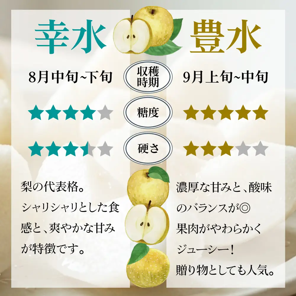 【先行予約】福島県いわき市産 梨(豊水) 約3kg | 梨 豊水 いわき市産 草野農園 約3kg 先行予約 期間限定 果物 フルーツ 和梨 国産 新鮮 産地直送 甘い 濃厚果汁 ジューシー 瑞々しい シャキシャキ 数量限定 送料無料 フレッシュ 季節限定 | KN002-3kg