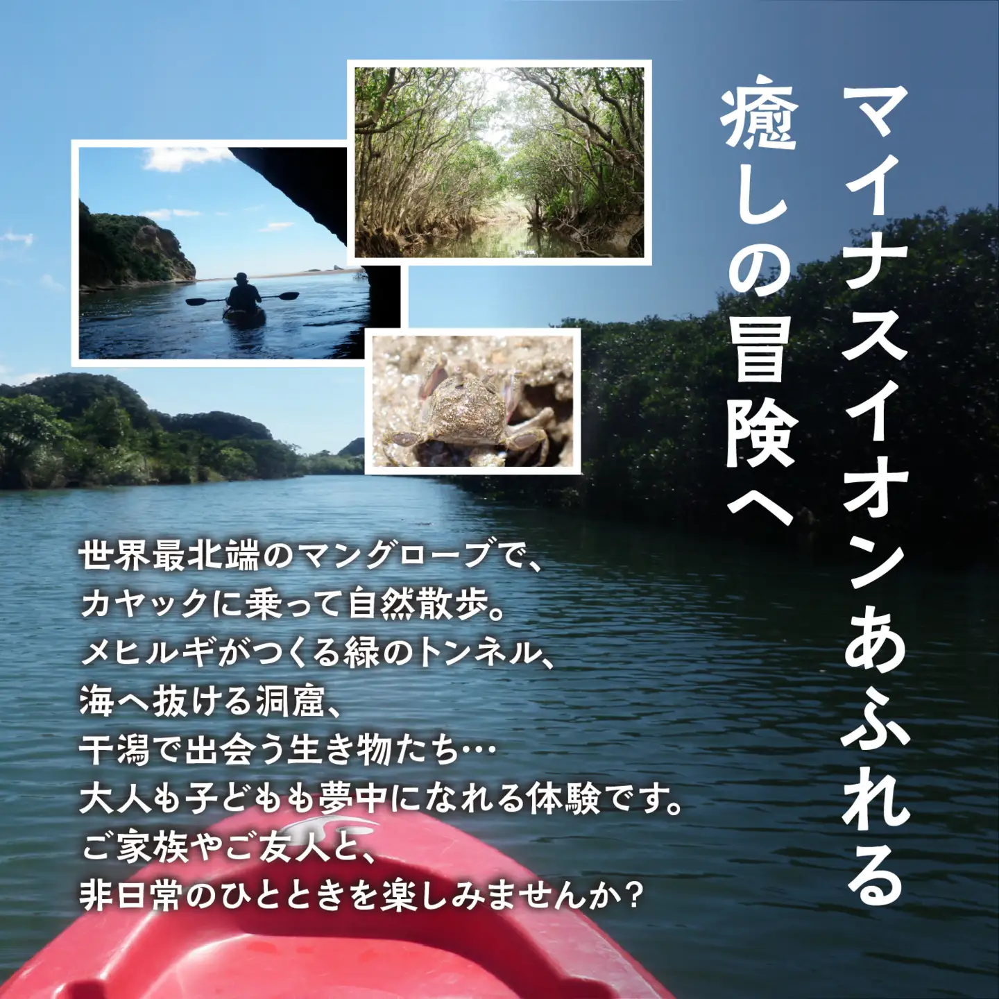 (2名様) マングローブカヤック体験【BLUE PEACE種子島】