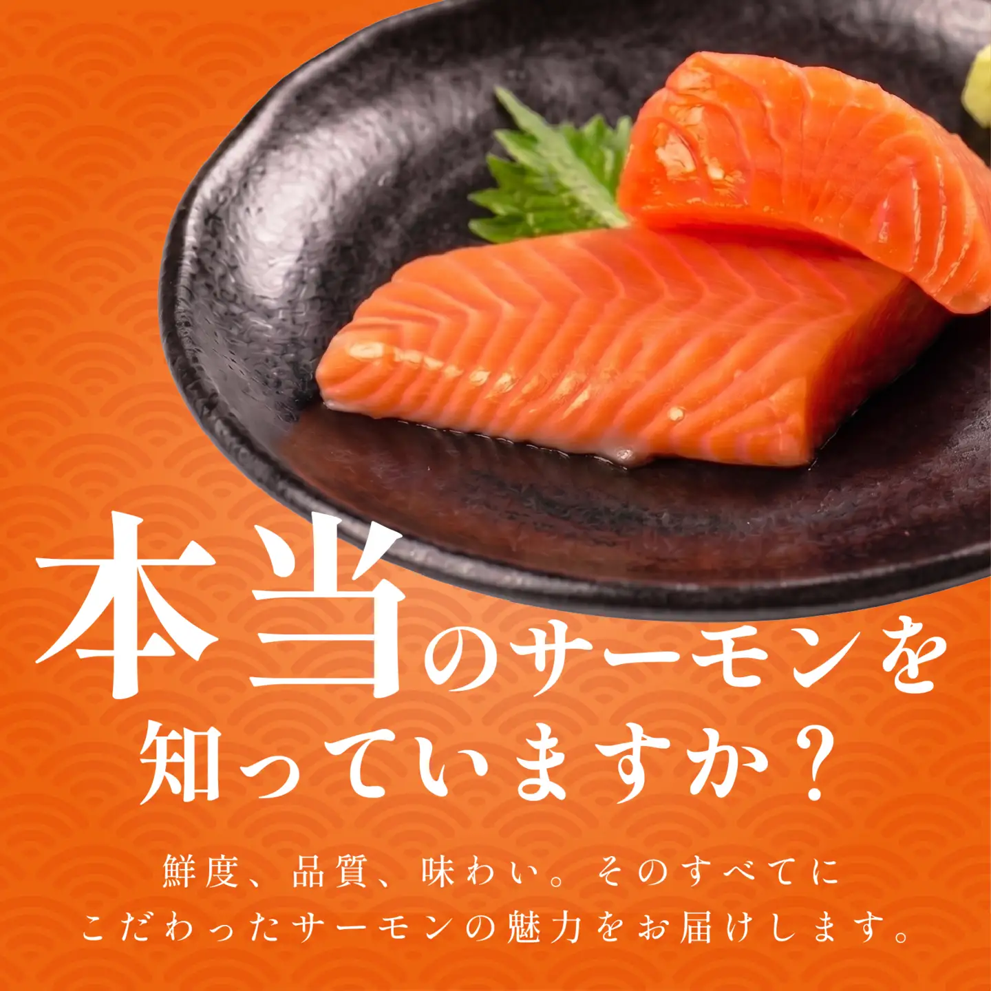 【 濃厚な旨味 】サーモン 200g サーモン