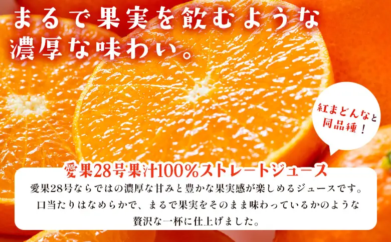 ＜柑橘100％ジュース （せとか+まどんな（愛果28号）2本）＞ ストレートジュース 果汁100％ ミカン 蜜柑 果物 柑橘 かじわらFARM 愛媛県 西予市【常温】『1か月以内に順次出荷予定』MKF0005