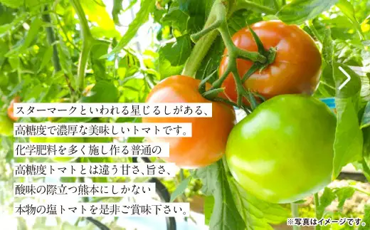 『まるでデザートのような甘～い、高級塩トマト』 約2.5kg 1箱 熊本県産 【2027年1月下旬発送開始】 野菜 やさい トマト とまと 塩トマト