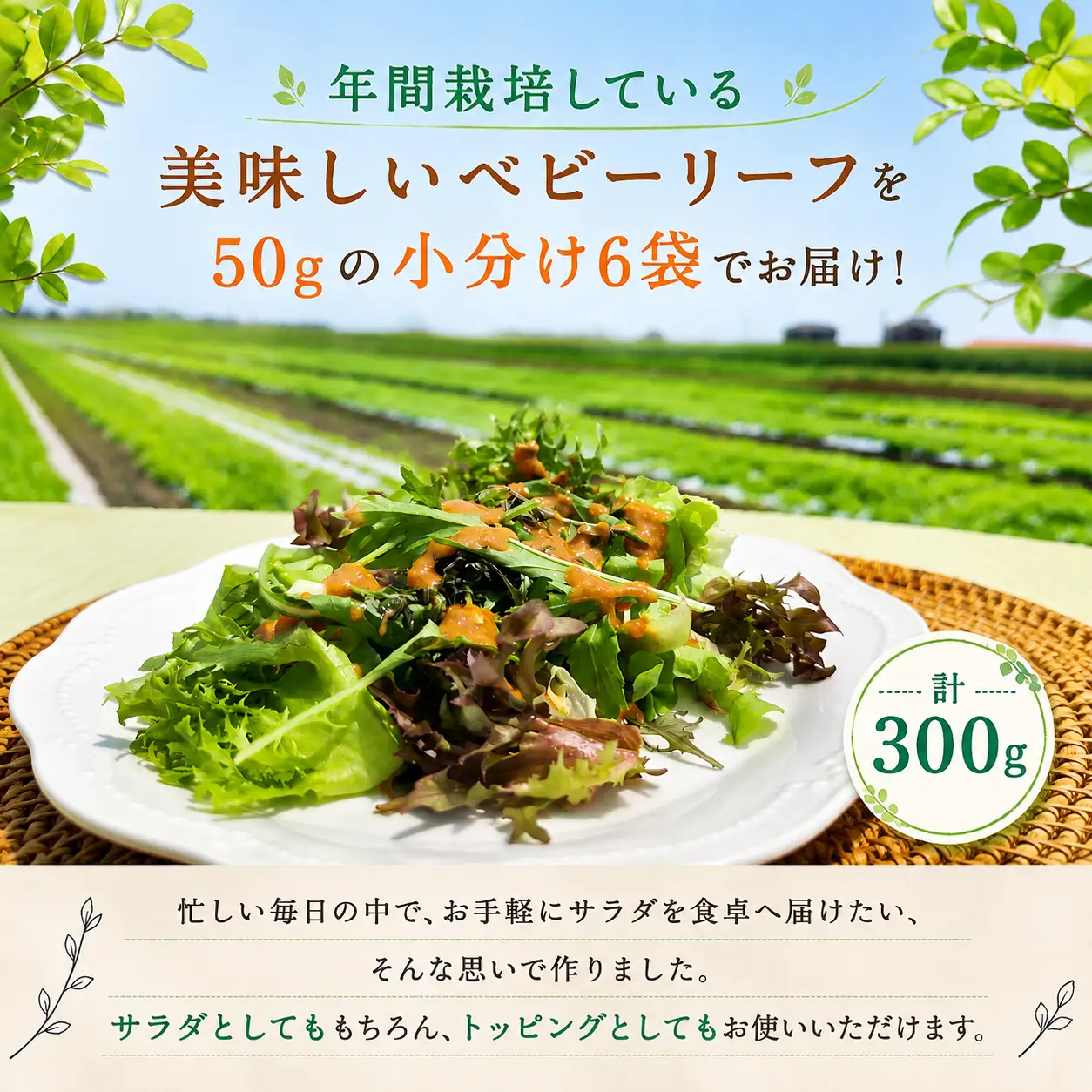 ベビーリーフサラダセット 300g (50g × 6袋) 有機JAS認定				